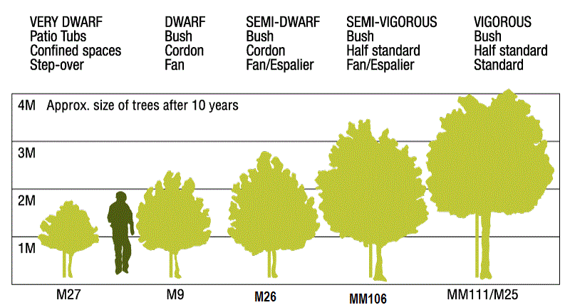 gwenfar-s-garden-and-other-musings-tips-to-help-you-choose-the-right